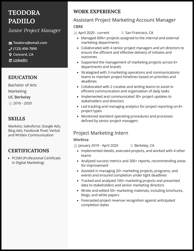 3 Junior Project Manager Resume Examples Best for 2024