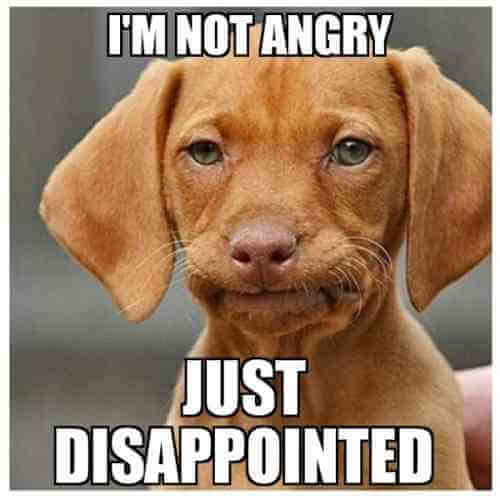 Upset puppy with text that says "I'm not angry just disappointed"
