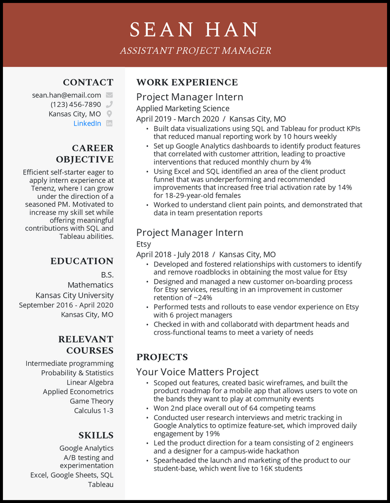 opening statement on resume for project manager