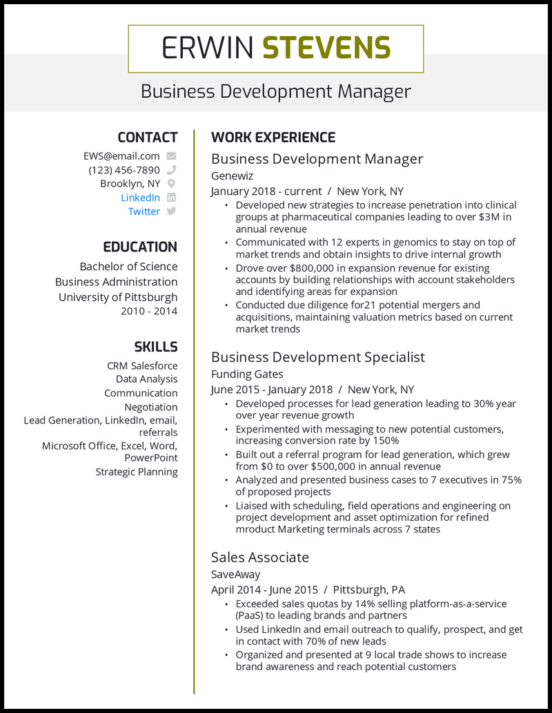 12 Business Development Resume Examples for 2023