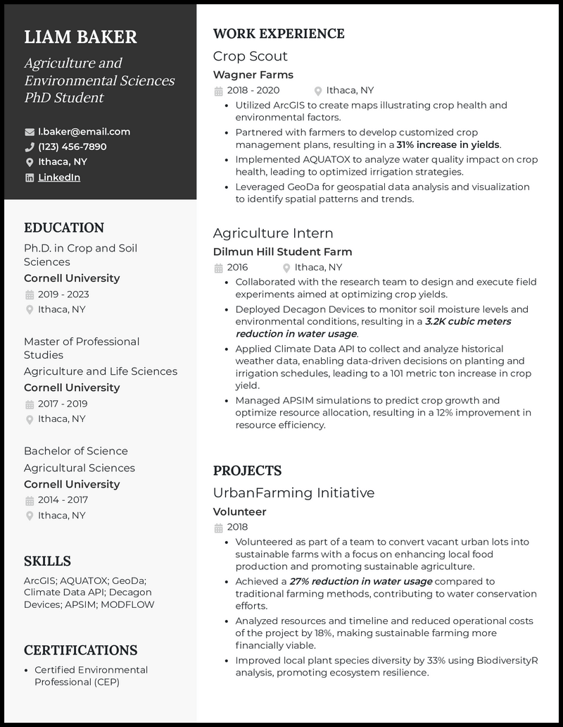 3 PhD Resume Examples Made to Work for 2023 