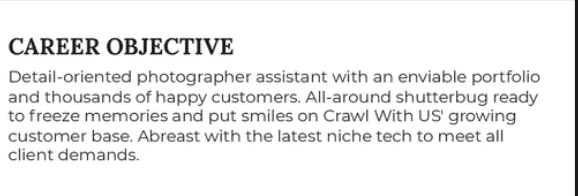Example of a career objective for a photographer assistant 