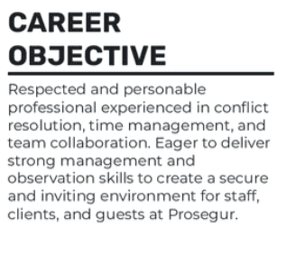 example-of-a-career-ojective-for-an-entry-level-security-guard Example of a career objective for an entry-level security guard