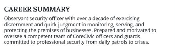 Example of a career  summary for security officer resume